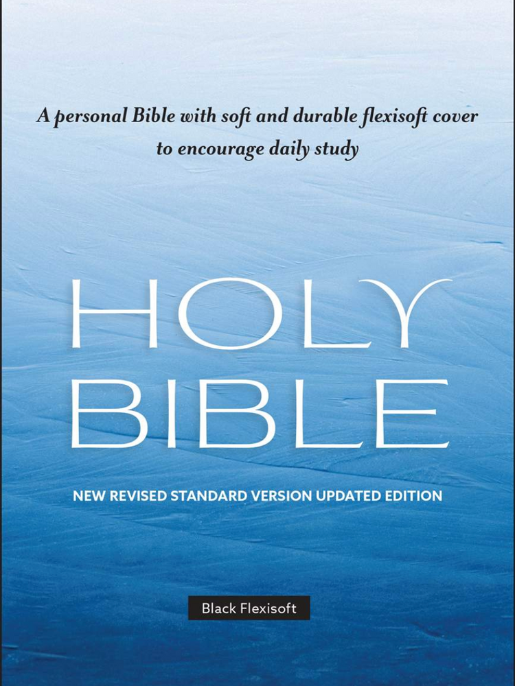 NRSV Updated Edition Bible