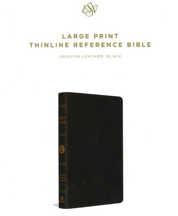 ESV Large Print Thinline Reference Bible, Genuine Leather, Black