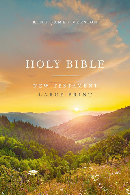 KJV Large Print Outreach New Testament Bible Comfort Print Soft Cover