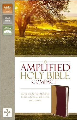 Amplified 2015 Ed Compact Bible Camel/Burgundy LL