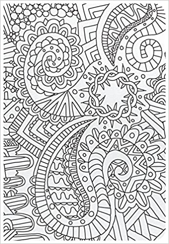 HCSB Big Picture Interactive Bible- Make it Your own Cover