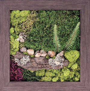 PRESERVED MOSS FRAMES