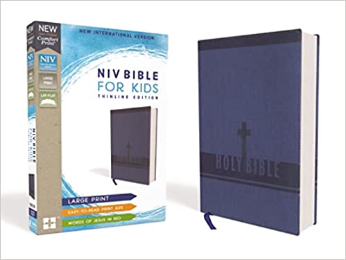 NIV Kids Bible Large Print