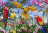 Jigsaw Puzzles 100 - 550 pcs