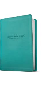 NLT HIDDEN IN MY HEART BIBLE