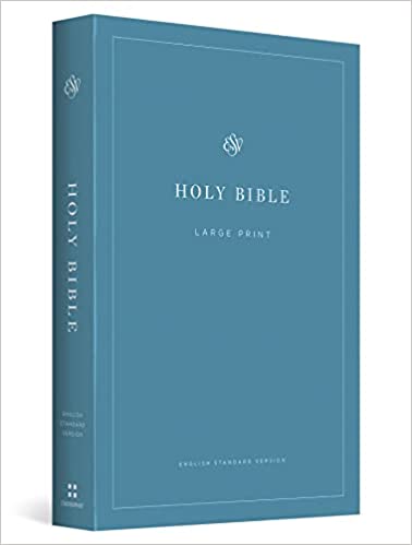 ESV Economy Bible Large Print Soft Cover