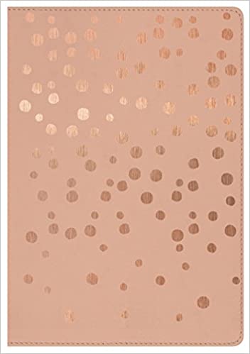 KJV Compact UltraThin Teen Bible Rose/Gold Leather Like